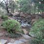 Japanese Garden - University of Southern Queensland