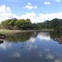Japanese Garden - University of Southern Queensland