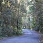 Winding Scenic Mountain Road - National Park