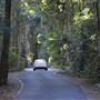 Winding Scenic Mountain Road - National Park