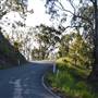 Winding Scenic Mountain Road - National Park