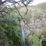 Moran Falls