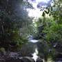 Moran Falls