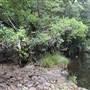 Upper Maroochy River