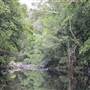 Upper Maroochy River