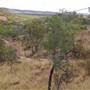 Lake Moondarra - Lookout & Dam Wall