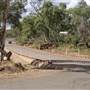 Moondarra River Road - Low Bridge