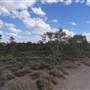 Leichhardt River Rd - Off-Road