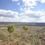 Telstra & Mount Isa Radio Station Hill