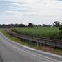 Roadside Cane Train Track