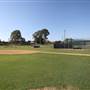 Surfers Paradise Baseball Club