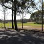 Surfers Paradise Baseball Club