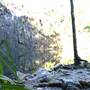 Whitsundays - Cedar Creek Falls