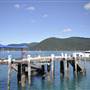 Shute Harbour