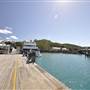 Shute Harbour