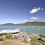 Shute Harbour