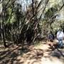 Tarrabora Reserve