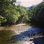 Spring Creek - near Port Douglas