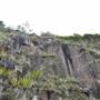 Kangaroo Point - Rock Wall