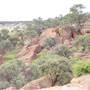 Winton Desert - General
