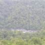 Mamu Tropical Skywalk