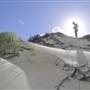 South Stradbroke Island - Beach (South of Surf Club)