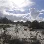 South Stradbroke Island - Beach (South of Surf Club)