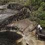 Murray Falls (Girramay National Park)