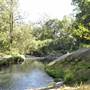 Venus Pools, Stream & Forest