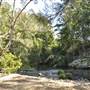 Venus Pools, Stream & Forest