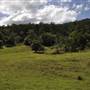 Natural Bridge - Springbrook National Park