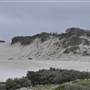 Mulgumpin (Moreton Island) - East Coast Beach