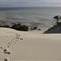 Mulgumpin (Moreton Island) - Big Sand Hills
