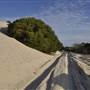 Mulgumpin (Moreton Island) - Little Sand Hills