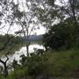 Anstead Bushland Reserve