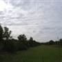 Bushland / Nature Reserve
