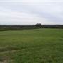 Bushland / Nature Reserve
