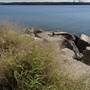 Fort Lytton National Park - General