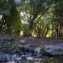 Nerima Gardens - Ipswich
