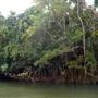 Mulgrave River (Cairns Region)