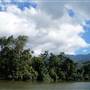 Mulgrave River (Cairns Region)