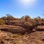 Age Of Dinosaurs (Rangelands)