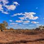 Age Of Dinosaurs (Rangelands)