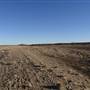 Winton - Kennedy Development Rd