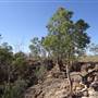 Skull Hole (Bladensburg National Park)