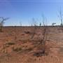 Winton-Jundah Road