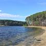 Pine Forest, Riverside Skate Park & Open Sports Fields - Pizzey Park