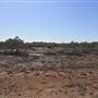 Brisbane Region - Swamps / Mangroves (St Helena Island)