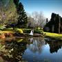 Cedar Creek Estate Winery and Vineyard