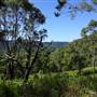 High Country Dirt Track